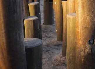 Ile kosztuje Palik kokosowy? Ile kosztuje Palik kokosowy?