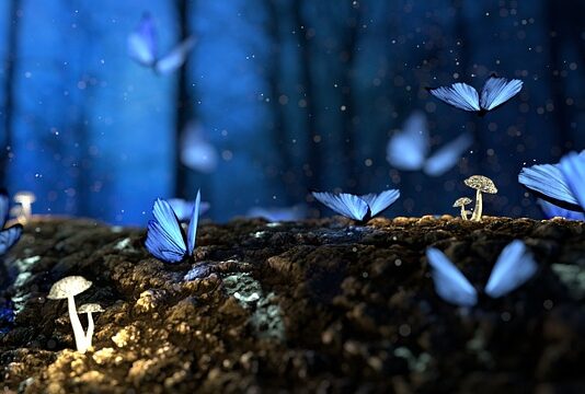 Kiedy najlepiej rąbać drewno?