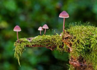 Jakie są rodzaje drutu spawalniczego?