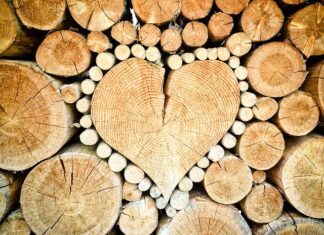 Co zrobić z drewna w ogrodzie?