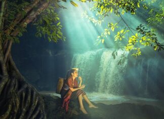 Ile kosztuje strój pszczelarza?