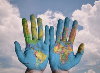 Co zrobić ze starą ziemia z doniczek? Co zrobić ze starą ziemia z doniczek?