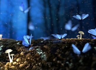 Jak przechowywać drewno na zewnątrz?