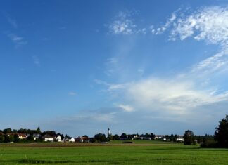 Co teraz siać na działce?