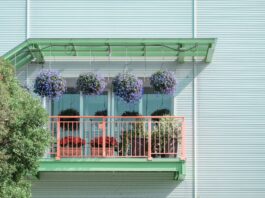 Kwiaty na balkon, które kwitną całe lato. 5 sprawdzonych propozycji dla początkujących Kwiaty na balkon, które kwitną całe lato