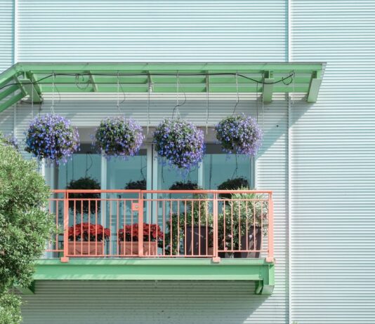 Kwiaty na balkon, które kwitną całe lato